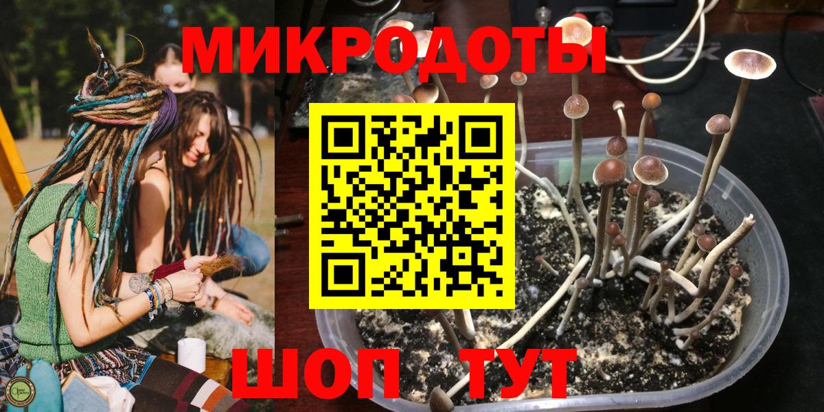 Галлюциногенные грибы Psilocybine cubensis  Галлюциногенные грибы GOLDEN TEACHER  Оренбург  Вход с VPN 