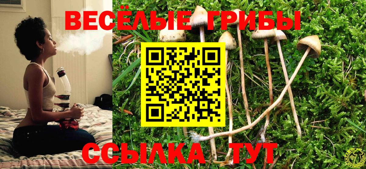 Галлюциногенные грибы Psilocybine cubensis Оренбург